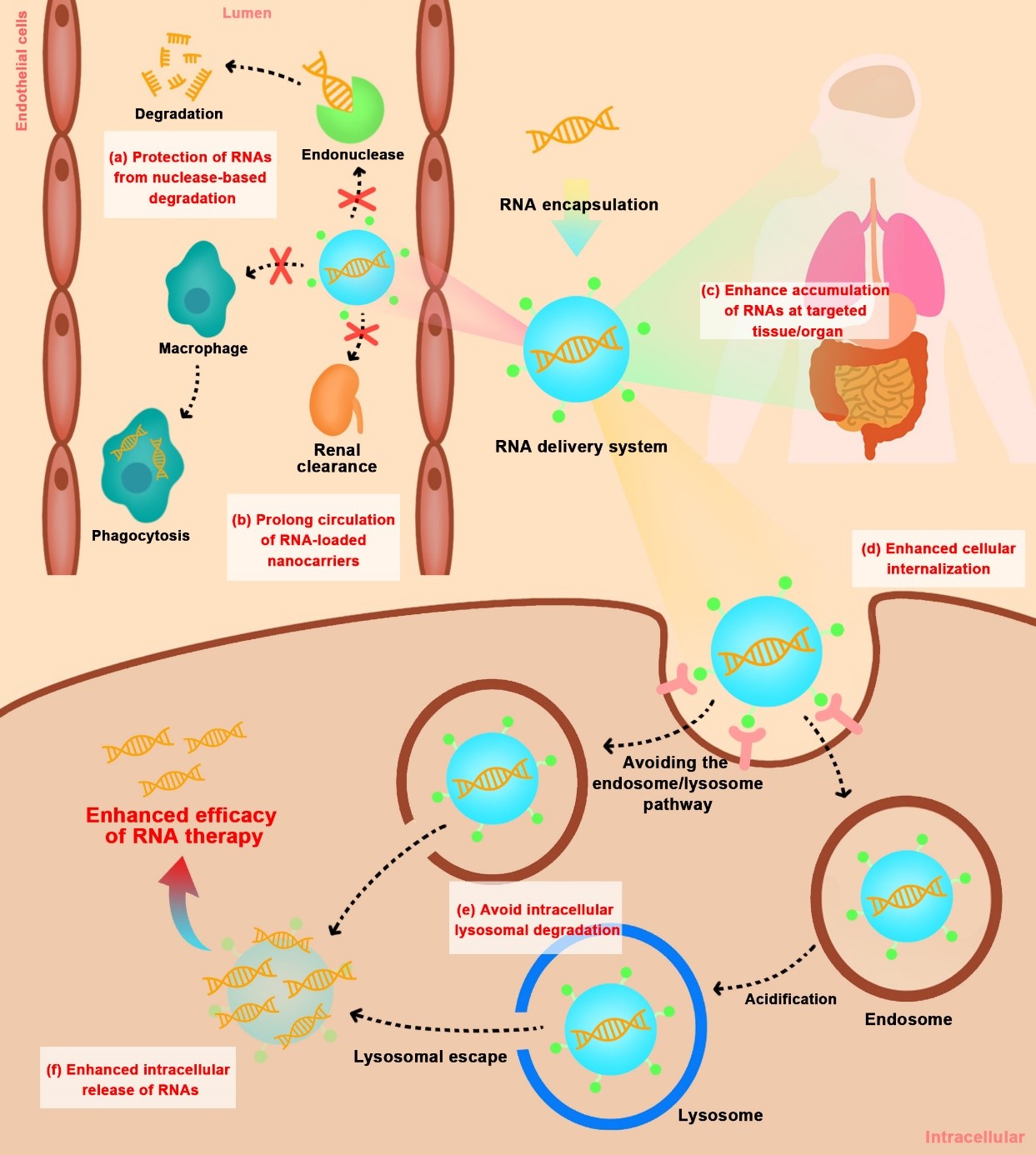 9621b5236e7944bebbc4a7e63bece260.jpg 9621b5236e7944bebbc4a7e63bece260.jpg