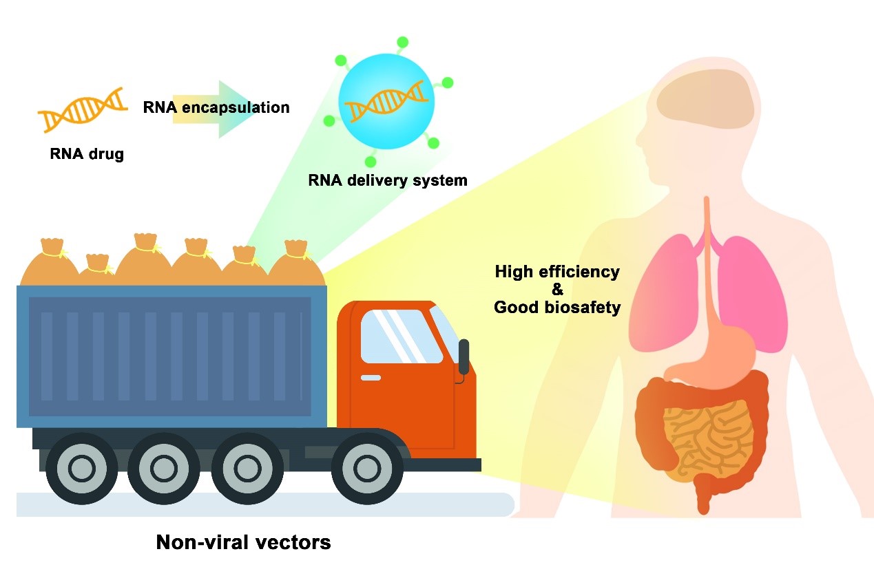 d8b619c812bf4a44aa1027bcc0c72360.jpg d8b619c812bf4a44aa1027bcc0c72360.jpg