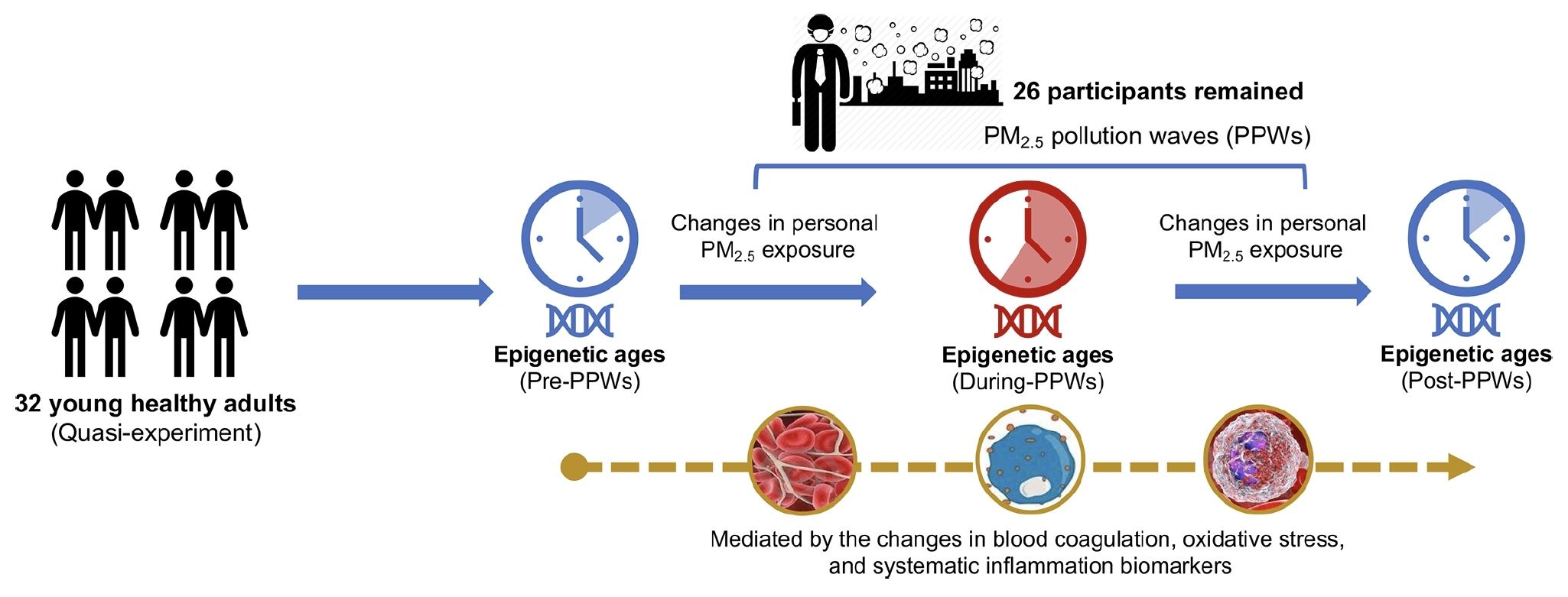 0ce578d0a26a40c598ae294d3a182db2.jpg 0ce578d0a26a40c598ae294d3a182db2.jpg